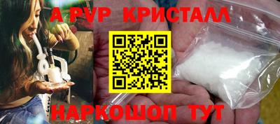 крисы Беслан