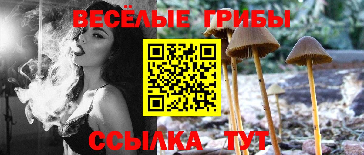 Псилоцибиновые грибы Magic Shrooms Каспийск