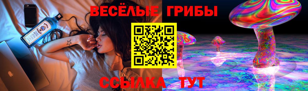 Галлюциногенные грибы Psilocybine cubensis  Вход с VPN  как найти наркотики  Каспийск 